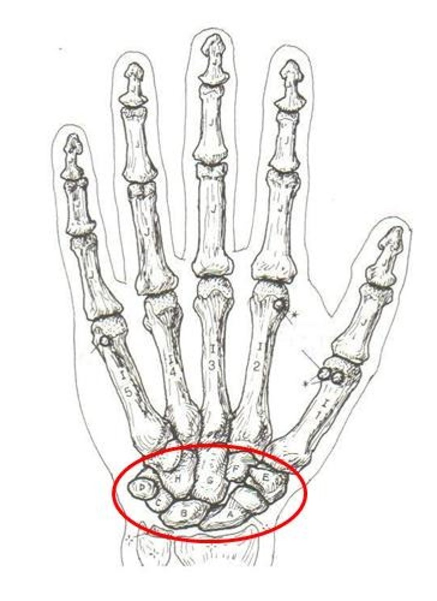 <p>ID group</p>