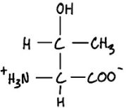 <p>1-Letter Abbreviation</p>