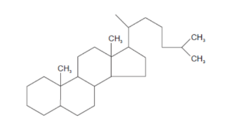 <p>This structure is for?</p>