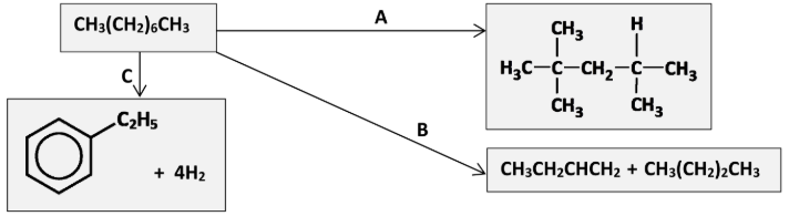 <p>Identify the processes B and C</p>