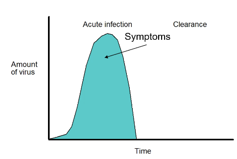 <p>Acute infection</p>