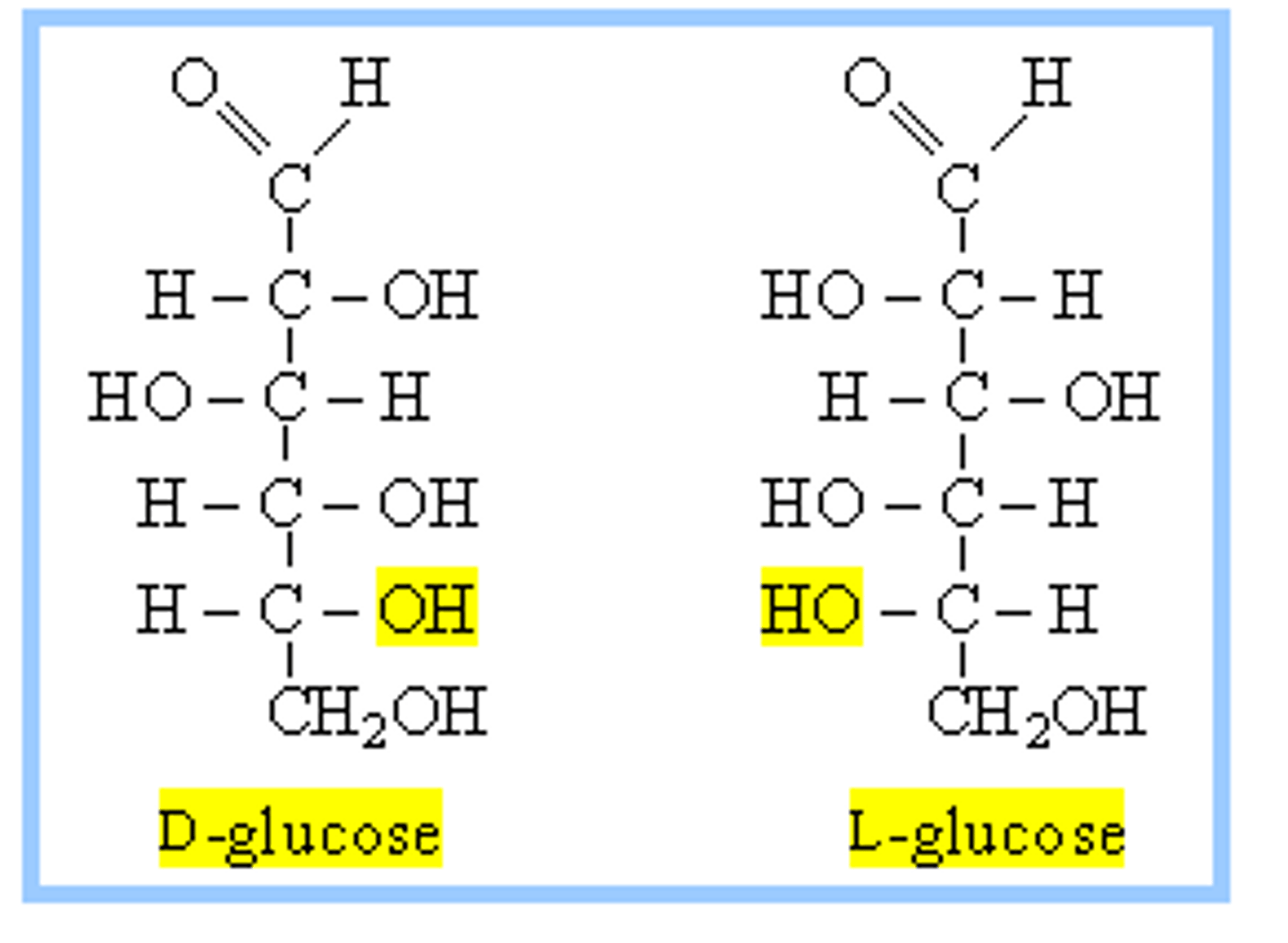 <p>this determines if D or L for a carbohydrate</p><p>L have OH on the left</p>