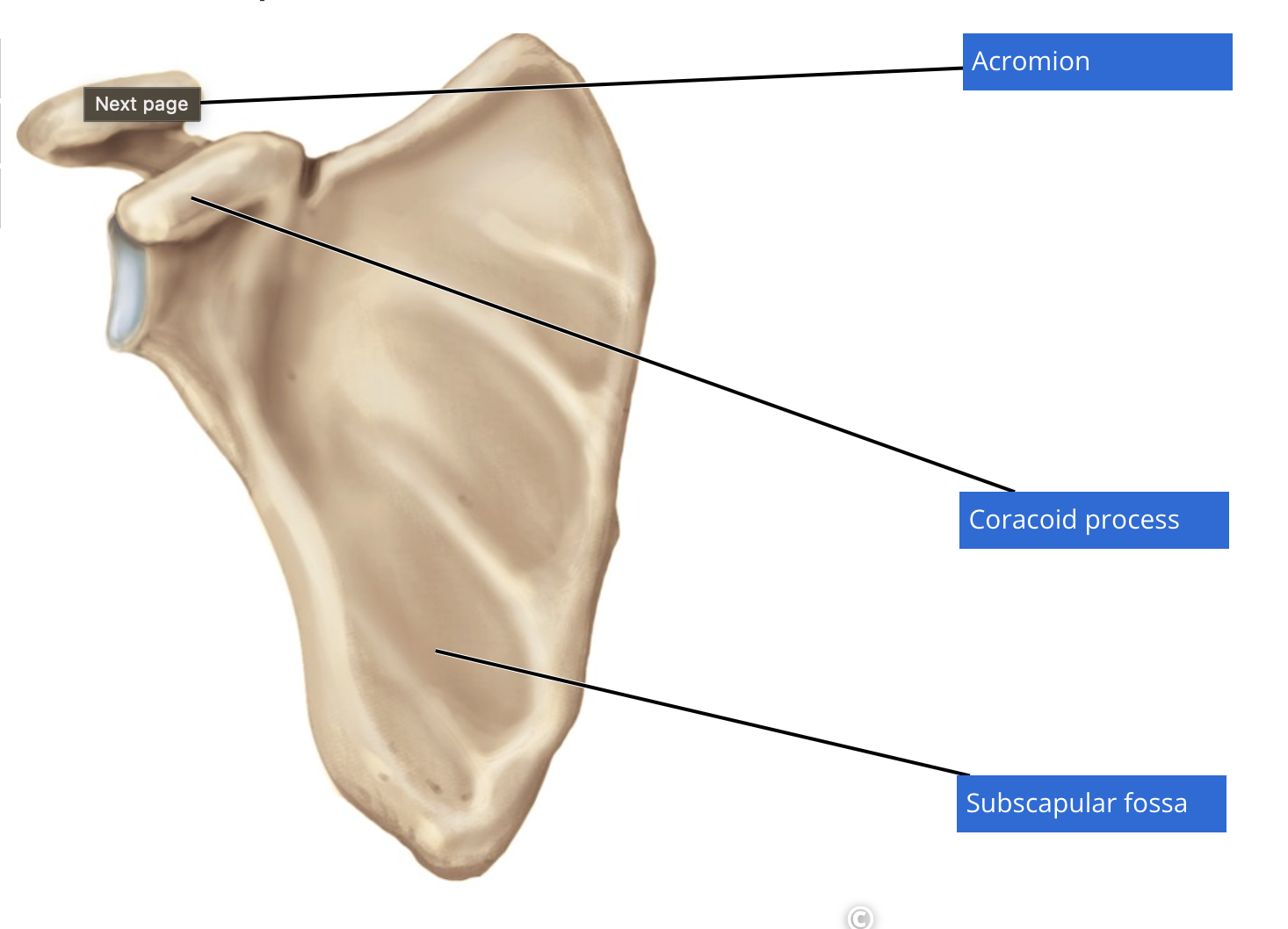 knowt flashcard image