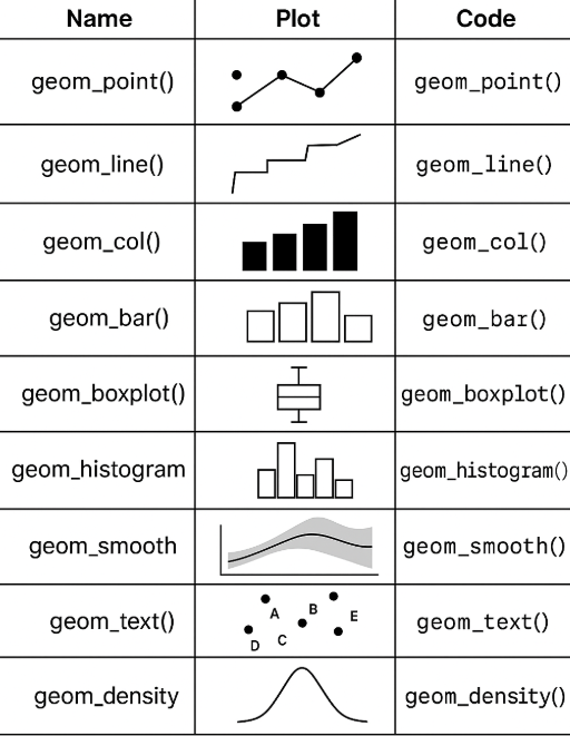 <ul><li><p class=""><code>geom_point()</code> – scatter plot</p></li><li><p class=""><code>geom_line()</code> – line plot</p></li><li><p class=""><code>geom_col()</code> – bar plot (height = value)</p></li><li><p class=""><code>geom_bar()</code> – counts automatically</p></li><li><p class=""><code>geom_boxplot()</code> – boxplots</p></li><li><p class=""><code>geom_histogram()</code> – histogram</p></li><li><p class=""><code>geom_smooth()</code> – adds trend line</p></li></ul><p></p>