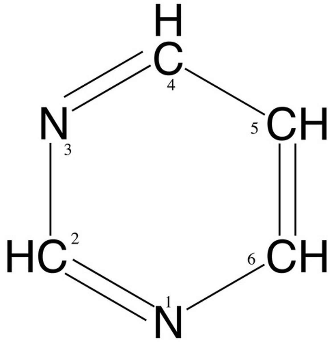 <p>single-ring nitrogenous bases (C and T)</p>