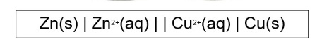 <p>outline what the single lines represent </p>