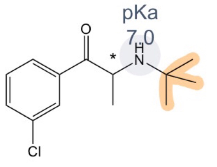 <p>1) What drug is this</p><p>2) How can you tell</p><p>3) What does the highlighted part do</p><p>4) Why is the answer to #3 important</p><p>5) What kind of metabolism does this structure undergo (2 types)</p>