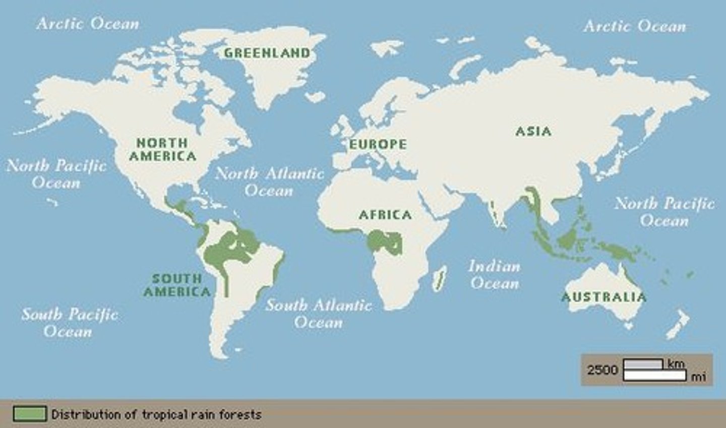 <p>High biodiversity biome with over 200 cm rain.</p>