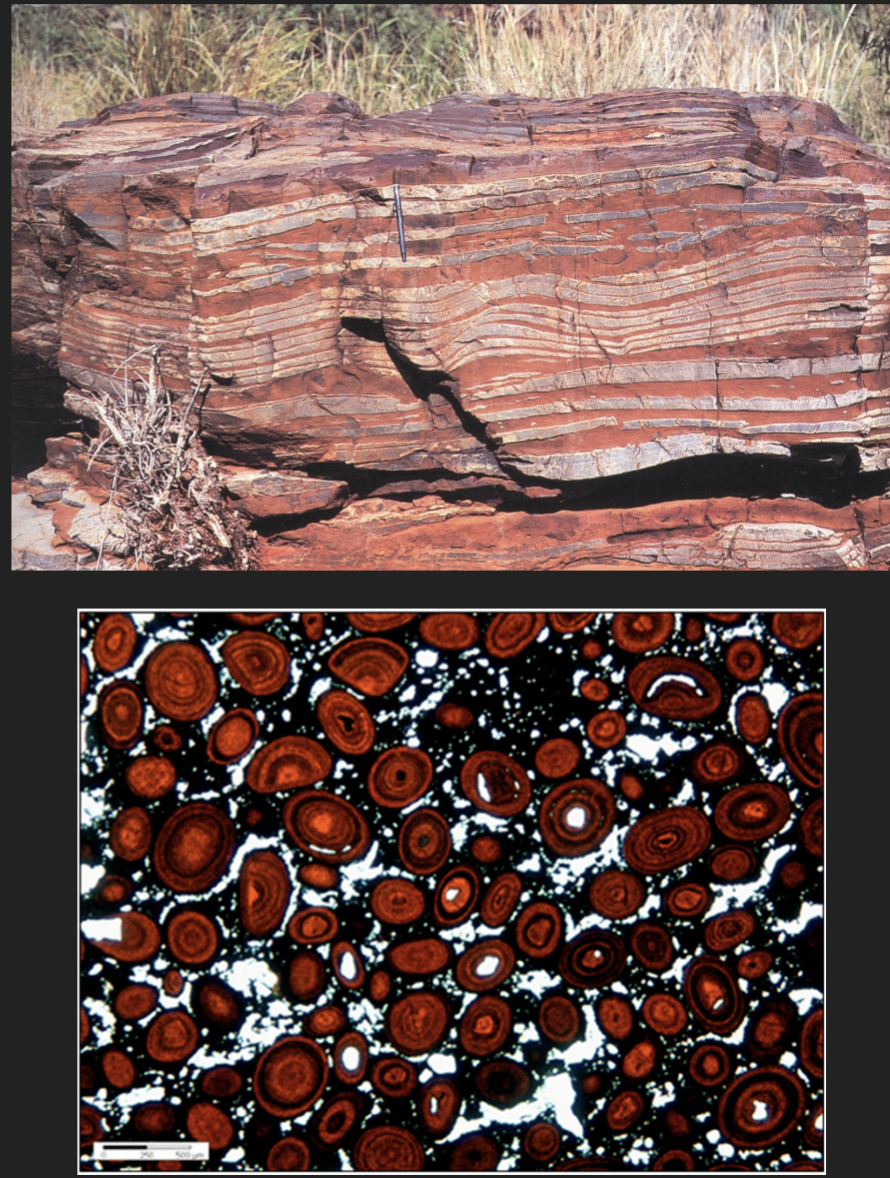 <p>Sedimentary rocks that contain at least 15% iron (rare but economically valuable)</p><p>2 kinds:</p><ol><li><p><strong>Iron formation: </strong>cherty iron-rich sediments (mainly precambrian)</p></li><li><p><strong>Ironstone: </strong>noncherty non banded</p><p>iron-rich rocks</p></li></ol>
