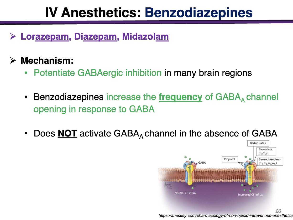 <p>Potentiate GABAergic inhibition in brain regions</p><ul><li><p>increase the <u>frequency </u>of GABAa channel opening in response to GABA</p></li></ul><p><strong>DOES NOT ACTIVATE GABAa CHANNEL IN THE ABSENCE OF GABA </strong></p>