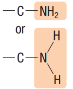 <p>A nitrogen atom single-bonded to 2 hydrogen atoms, at the end of a carbon chain. Has the suffix, “-amine”.</p>