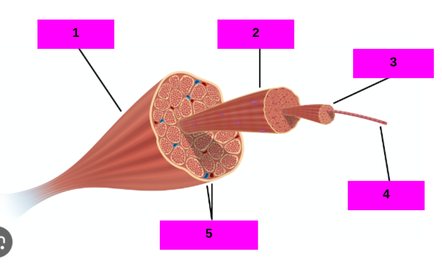 <p>5</p>