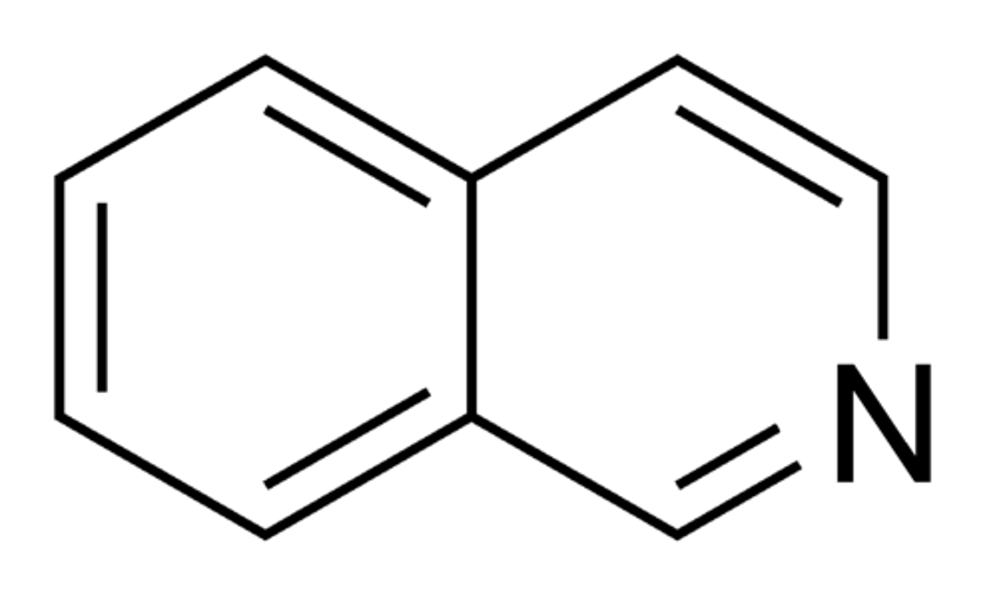 <p>Isoquinoline</p>