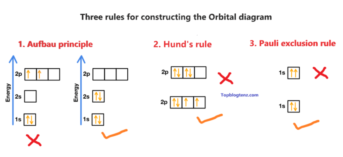 <p>every orbital in a sublevel is singly occupied before any orbital is doubly occupied</p>