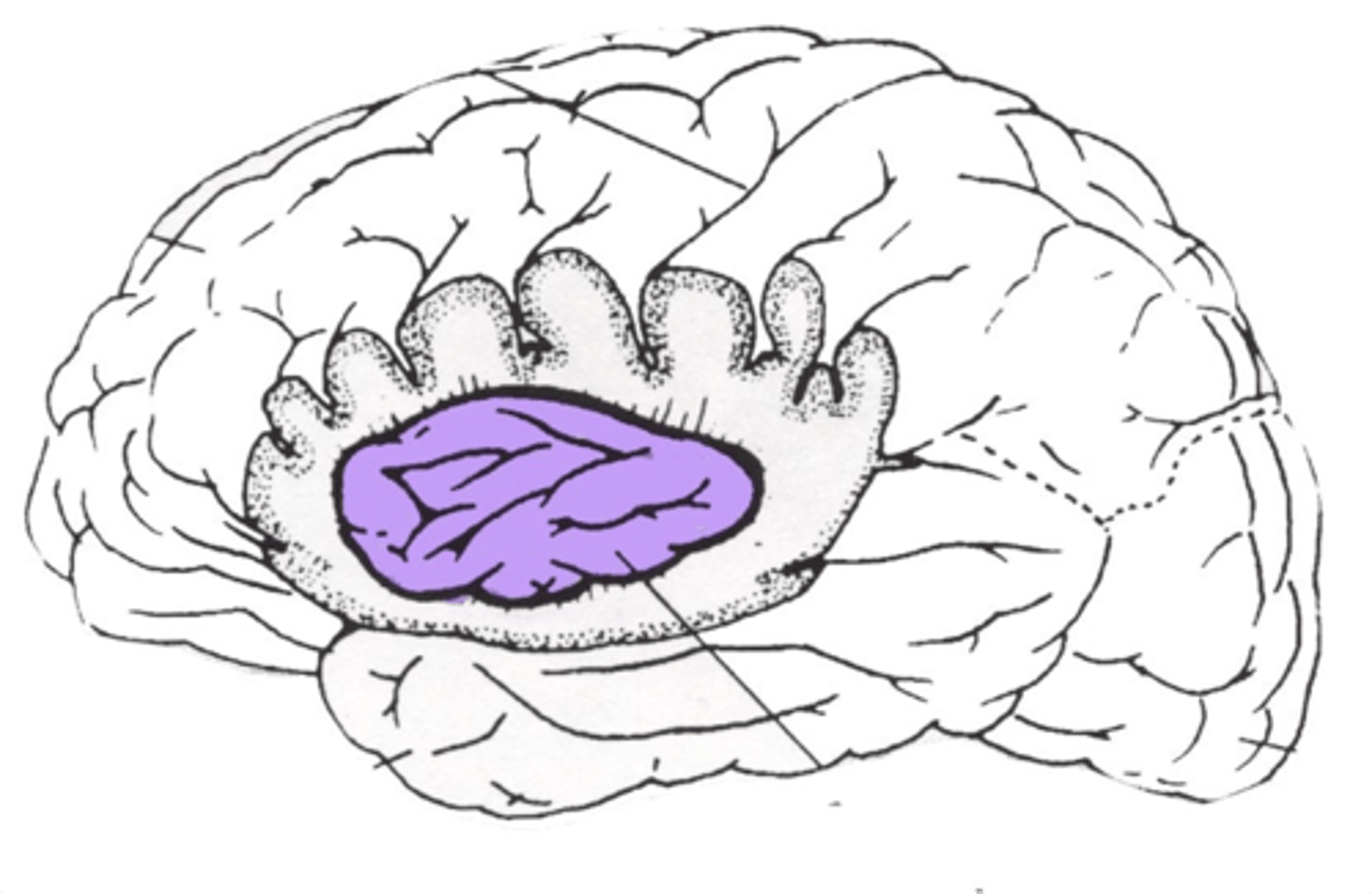 <p>Identify.</p>