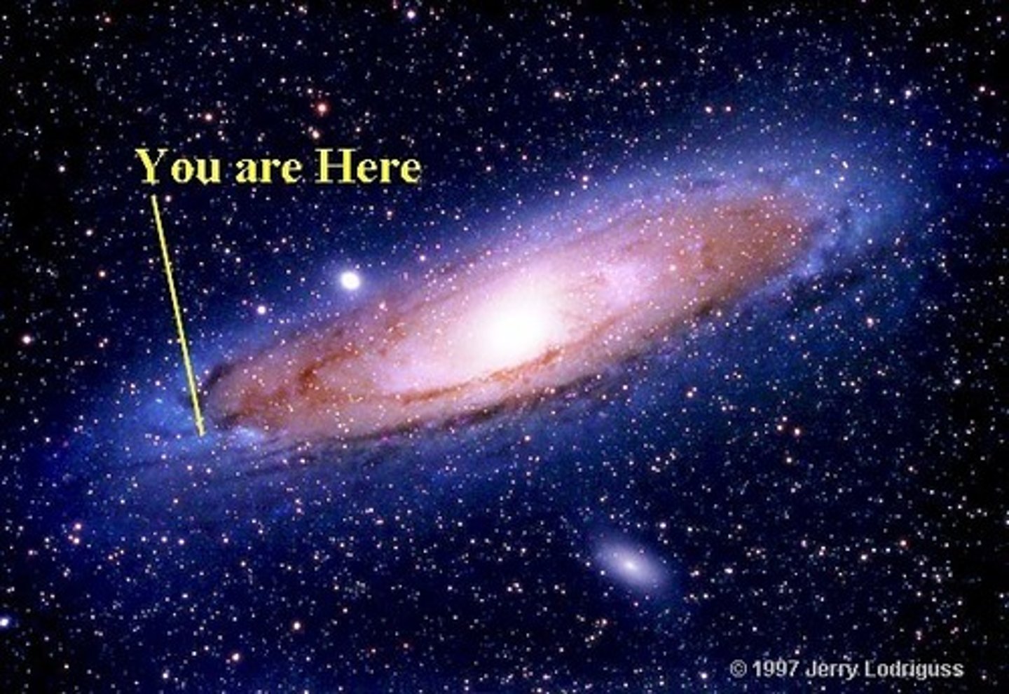 <p>A massive collection of gas, dust, and billions of stars with their planetary systems, held together by gravity, often with a black hole at the center. Our galaxy is the Milky Way.</p>