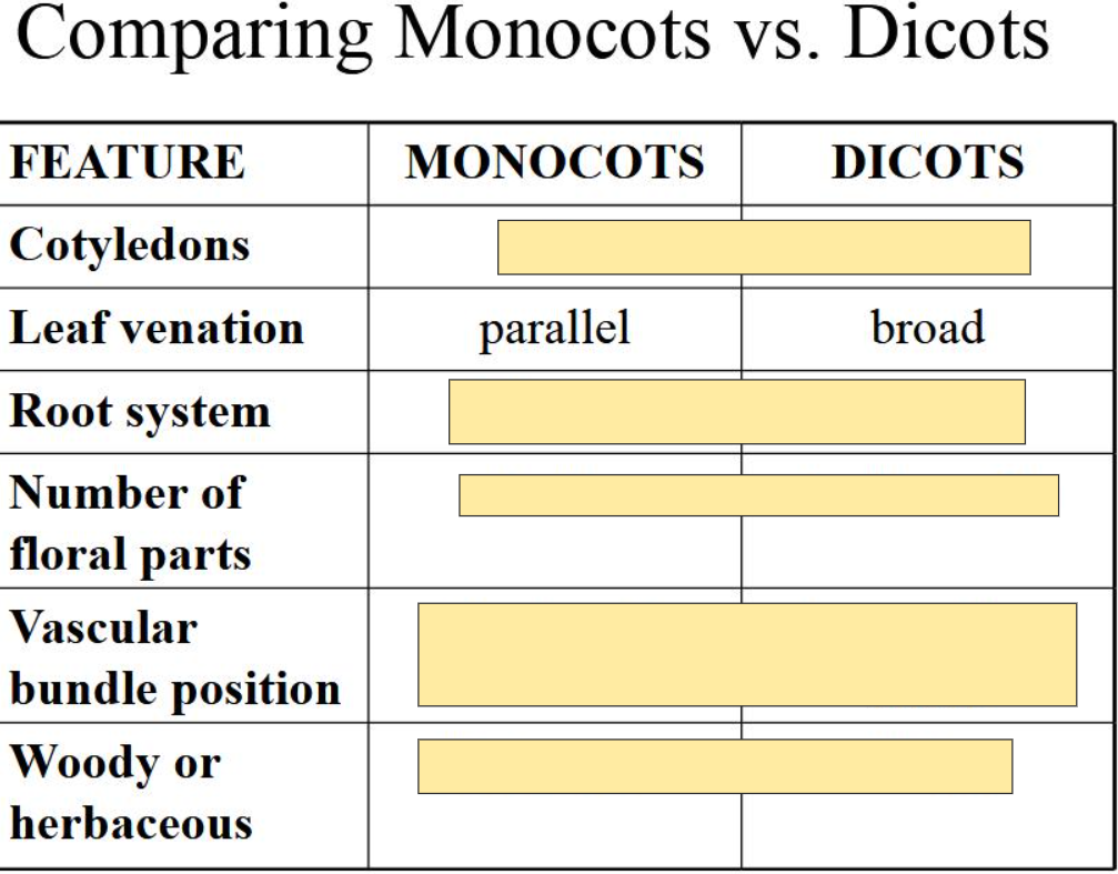 <p>M- Parallel<br>D- Broad</p>
