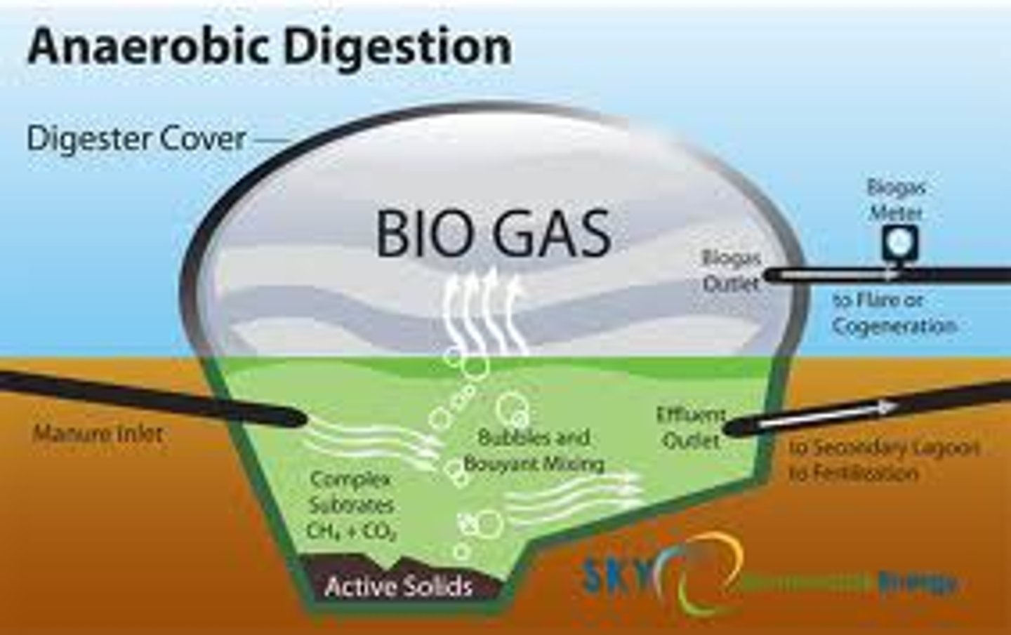 <p>treated sludge = solid organic material that's been removed from sewage and treated so its non hazardous</p>