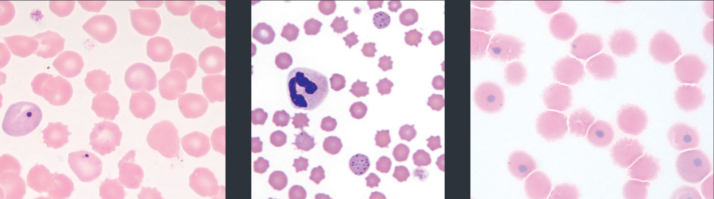 <p>Dots - Which is what?</p>