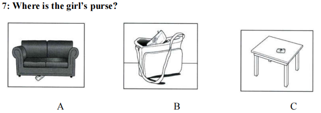 term image