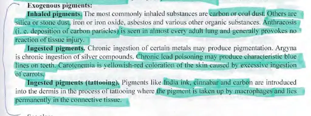 <p><strong><span>Which exogenous pigments could be deposited in the liver?</span></strong> (2)</p><p><strong>a) copper, </strong></p><p><strong>b) silver, </strong></p><p>c) tattoo ink, </p><p>d) coal dust</p>