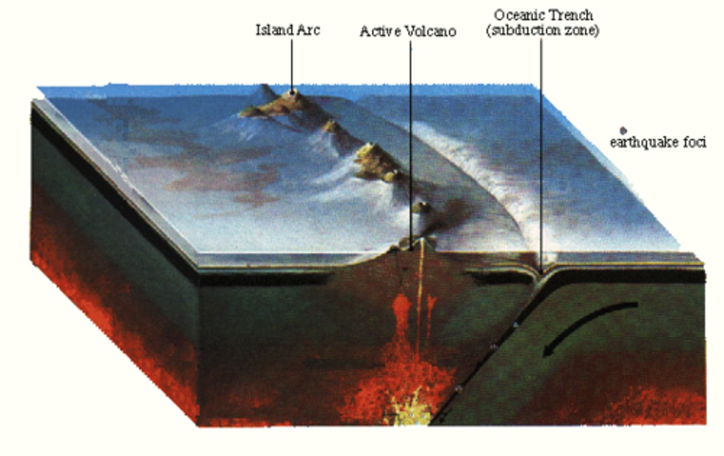<p>Chains of volcanic islands formed along subduction zones.</p>