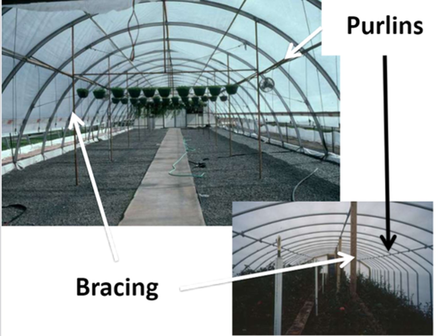 <p>-Bows<br>-bracing <br>-endwalls <br>-drainage<br>• End walls orient N-S<br>• Further N orient E-W</p>