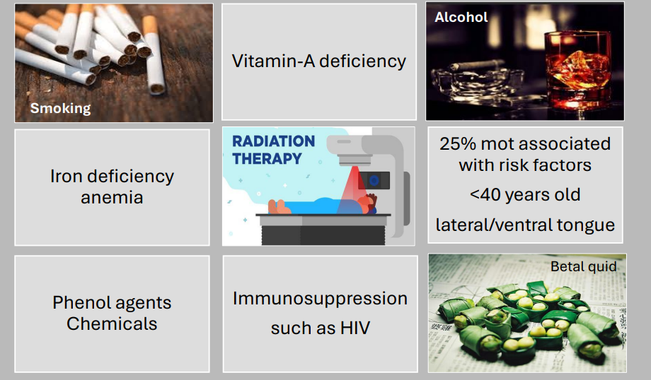 <ul><li><p>smoking </p></li><li><p>alcohol </p></li><li><p>radiation therapy </p></li><li><p>betel quid </p></li></ul><p></p>
