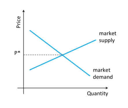 <p>What are firms in perfect competition?</p>