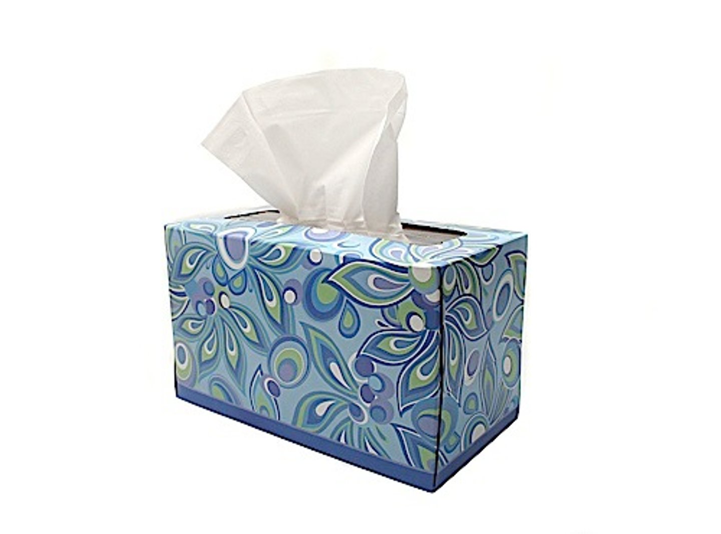 <p>soft paper you use to clean your nose</p><p>I need ~; I have a cold.</p><p>She gave me some ~.</p>