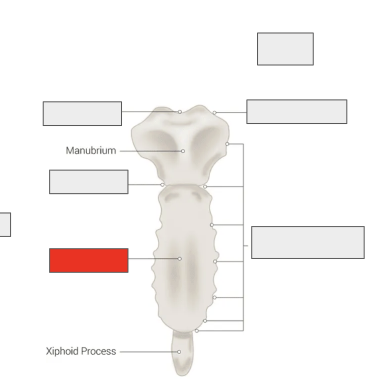 <p>Name the covered landmark</p>