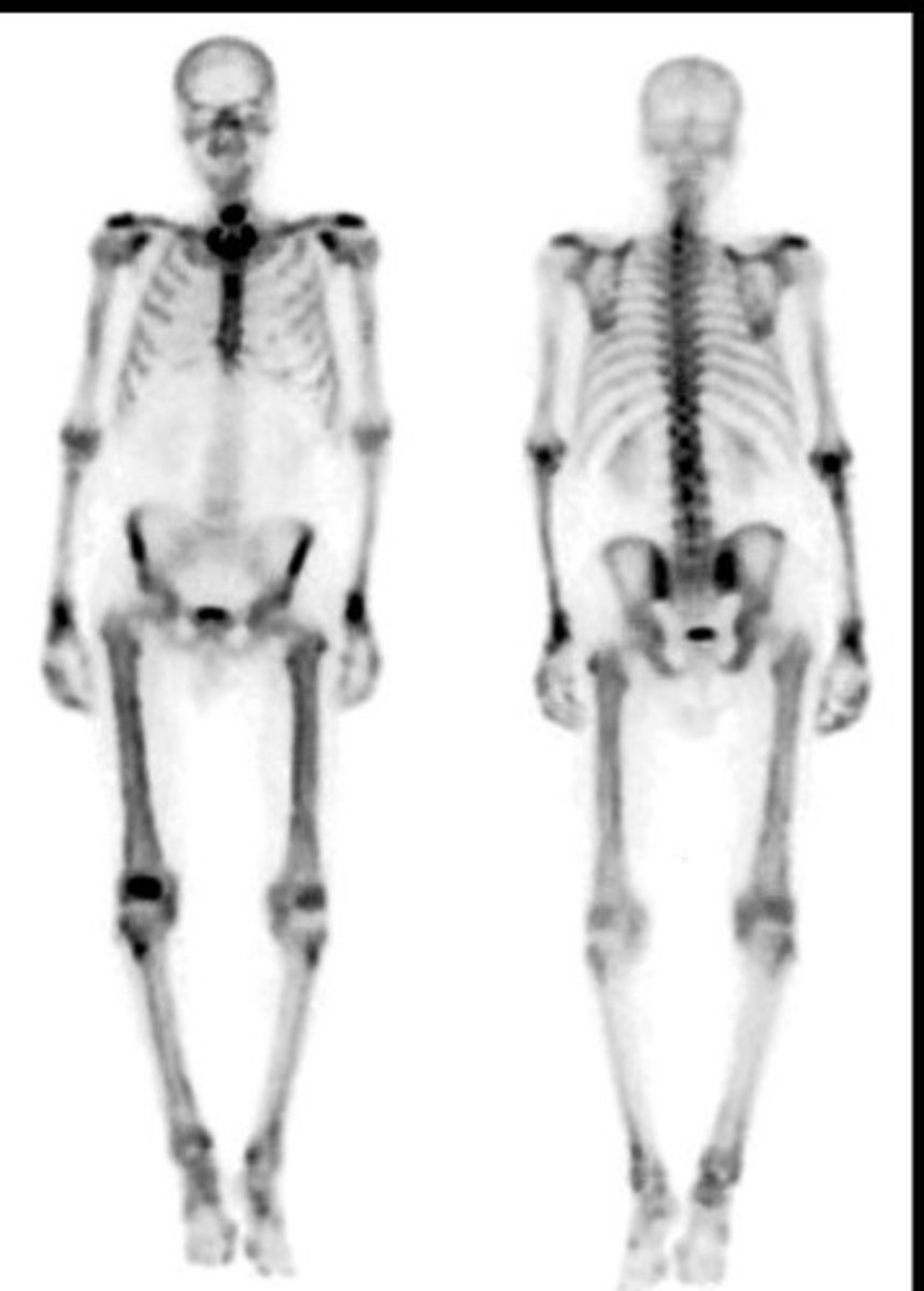 <p>What modality is this?</p>