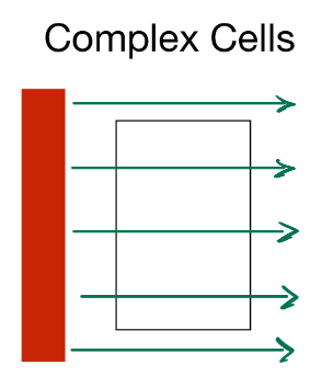 <p>Center-only, Moving stimulus</p>