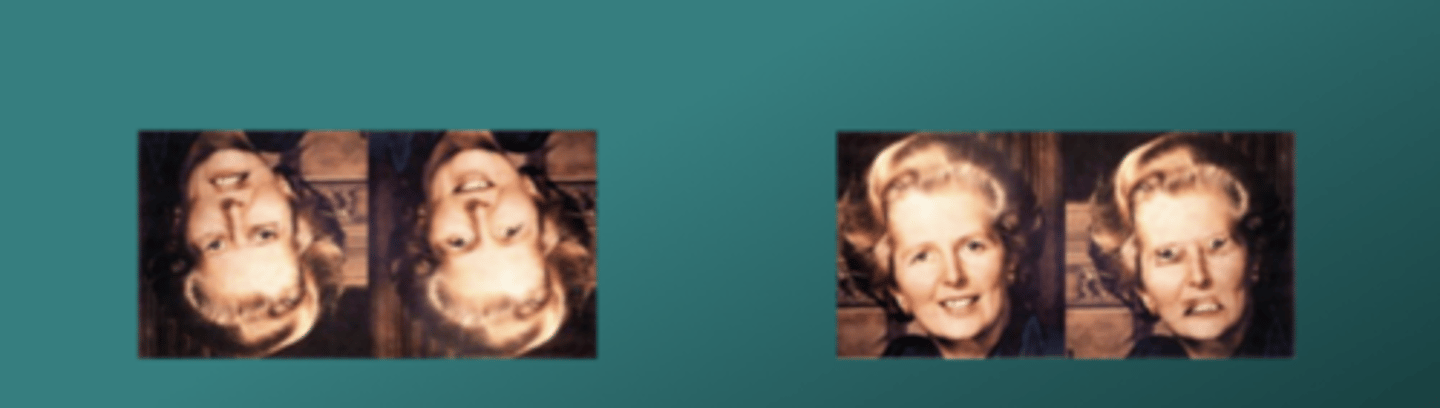 <p>An upside down face of Margaret Thatcher with inverted eyes and mouth appears normal, but when this face is then turned the right way up it appears grotesque.</p>