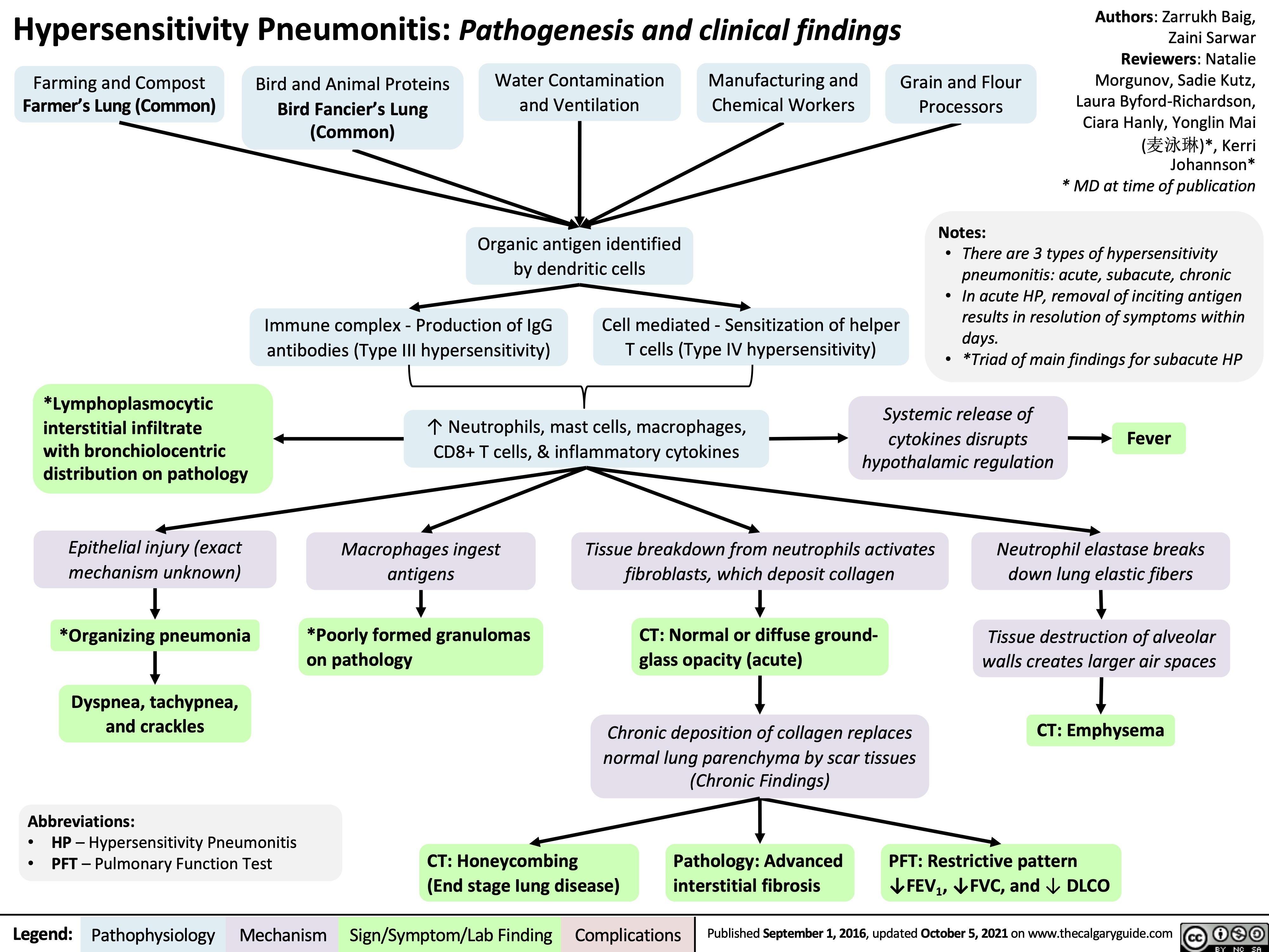 <p>inhalation of env/occupational antigens, usually animal (birds), fungi, bacteria, or inorganic chemicals leading to interstitual lung disease</p><p>acute - constitutional, flu-like sx, leukocytosisl; or more chronic - cough, dyspnea, fatigue, weight loss</p><p>diagnosed via hx &amp; ct of chest showing fibrosis. also lymphocytosis on bronchoaleolar lavage, noncaseating granulomas on histopathology</p><p>avoid antigen, usually resolves spontaneously. can give glucocorticoids if symptoms persist. if refractory, may eventually require lung transplant</p>