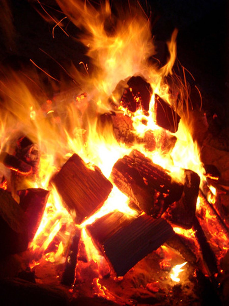 <p>Thiêu đốt</p>