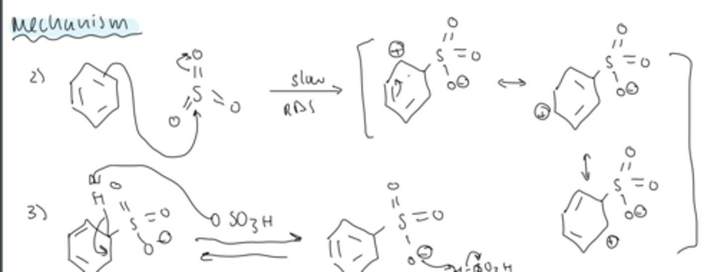 <p>- slow RDS</p><p>- pi bond attacks the SO₃</p><p>- forms a arenium ion with resonance</p>