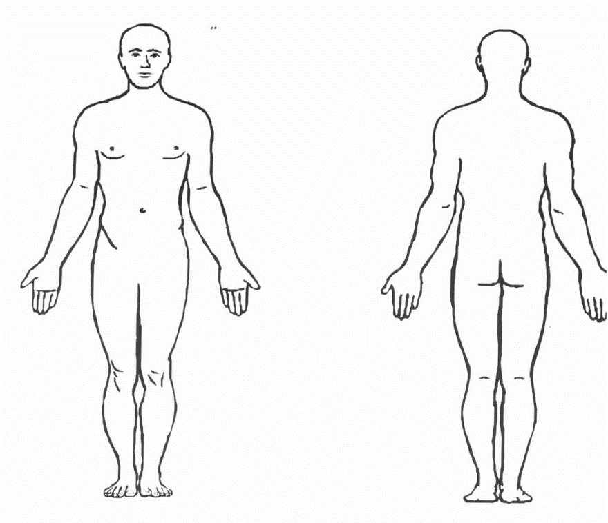 <p>–Stand and facing observer</p><p>–Head level and eyes forward</p><p>–Feet flat on floor and directed forward</p><p>–Upper limbs at sides with palms turned forward</p>