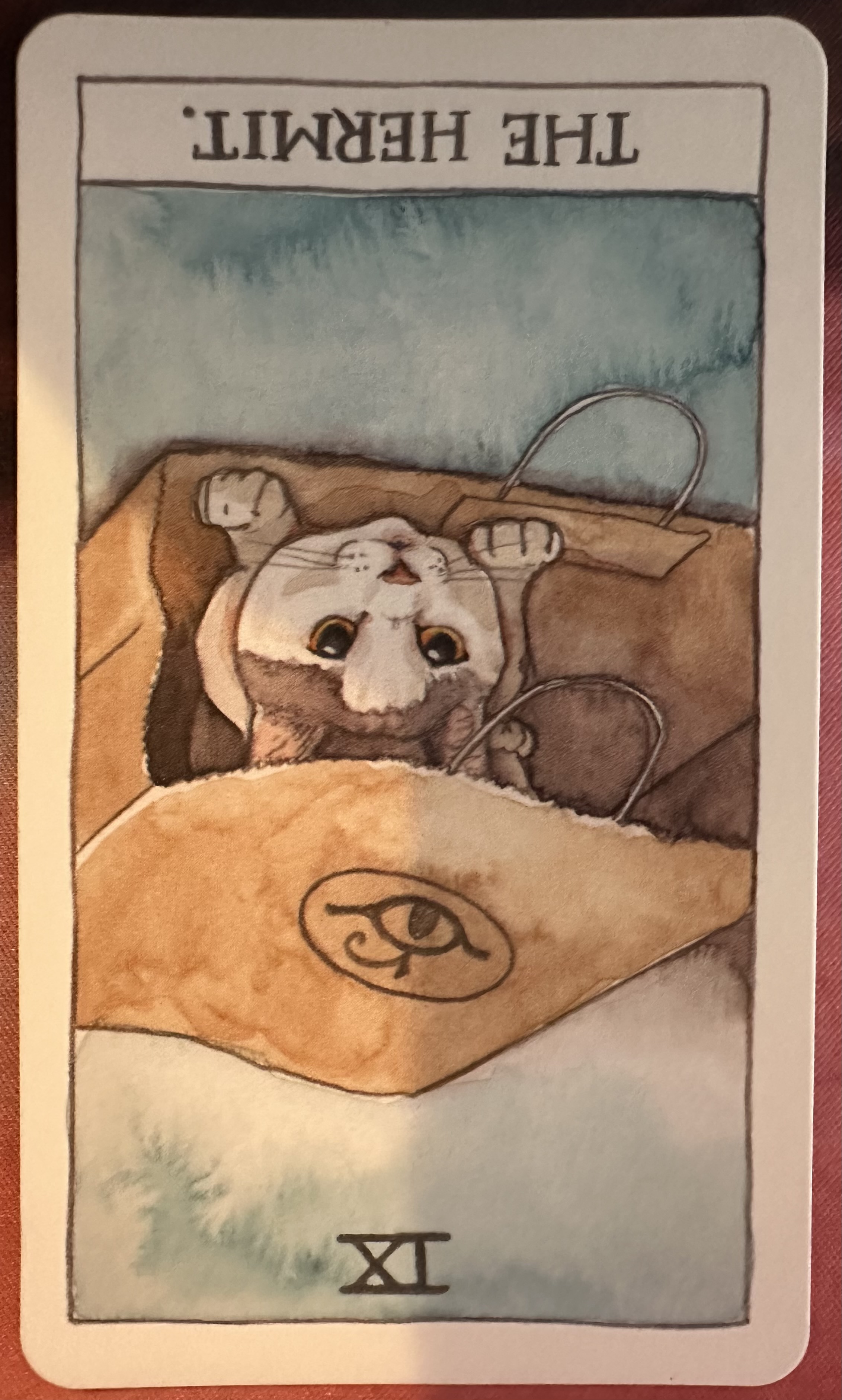 <p>The Hermit (IX) Reversed</p>
