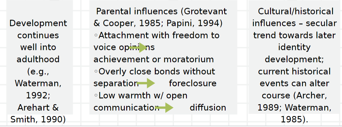 <ul><li><p>The way in which development continues into adulthood</p></li><li><p>Parental influences</p></li><li><p>Cultural/historical influences</p></li></ul>