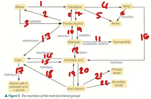 <p>Label the Conditions of the Synthetic Routes (6→10) </p>