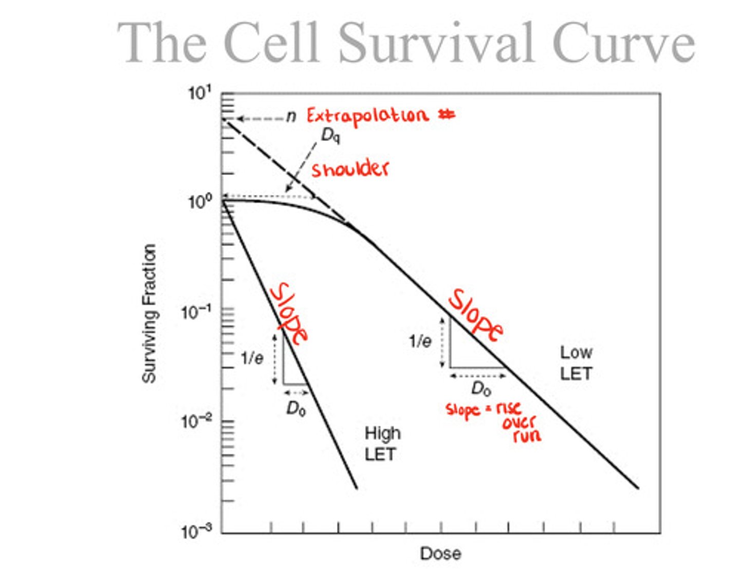 <p>Do = the dose range for death of 63% of cells in the straight line portion; most reliable value for determining cell sensitivity; relates to multiple-target, single-hit theory.</p>