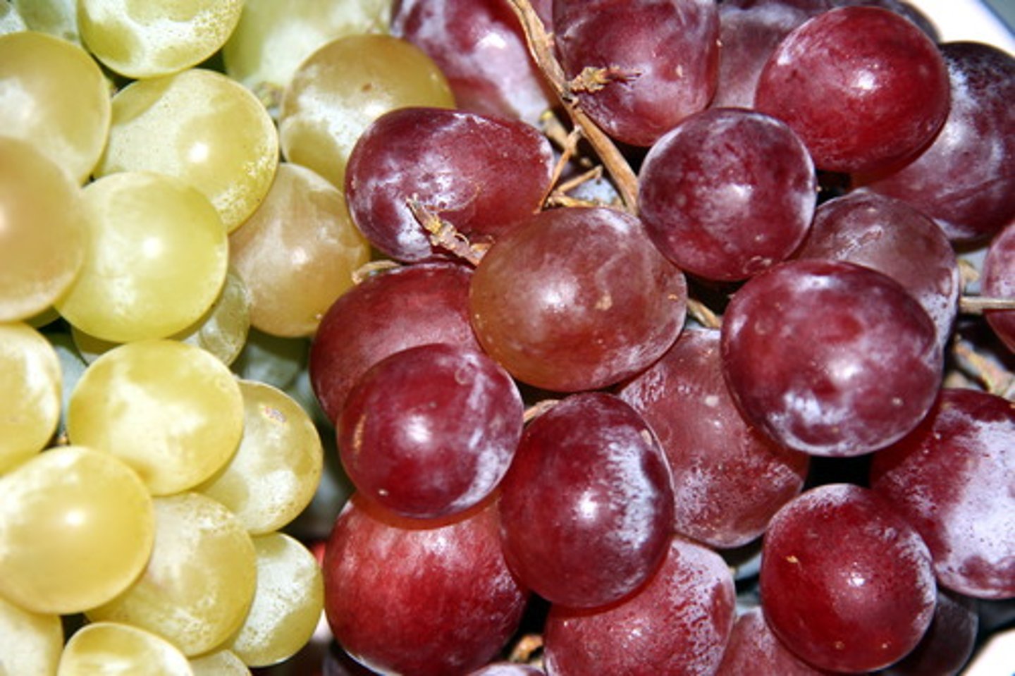 <p>grape</p>
