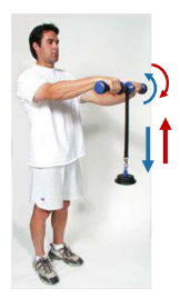 <p>This isotonic exercise is called what?</p>