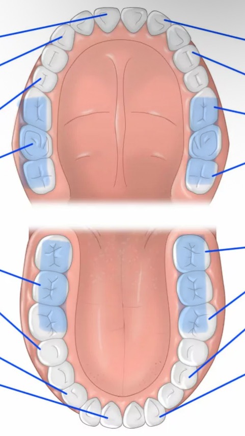knowt flashcard image