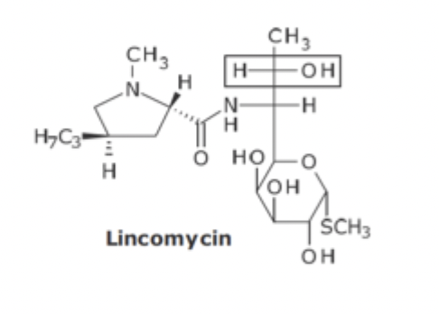 <p>Lincoasamide variation of FG SAR</p>