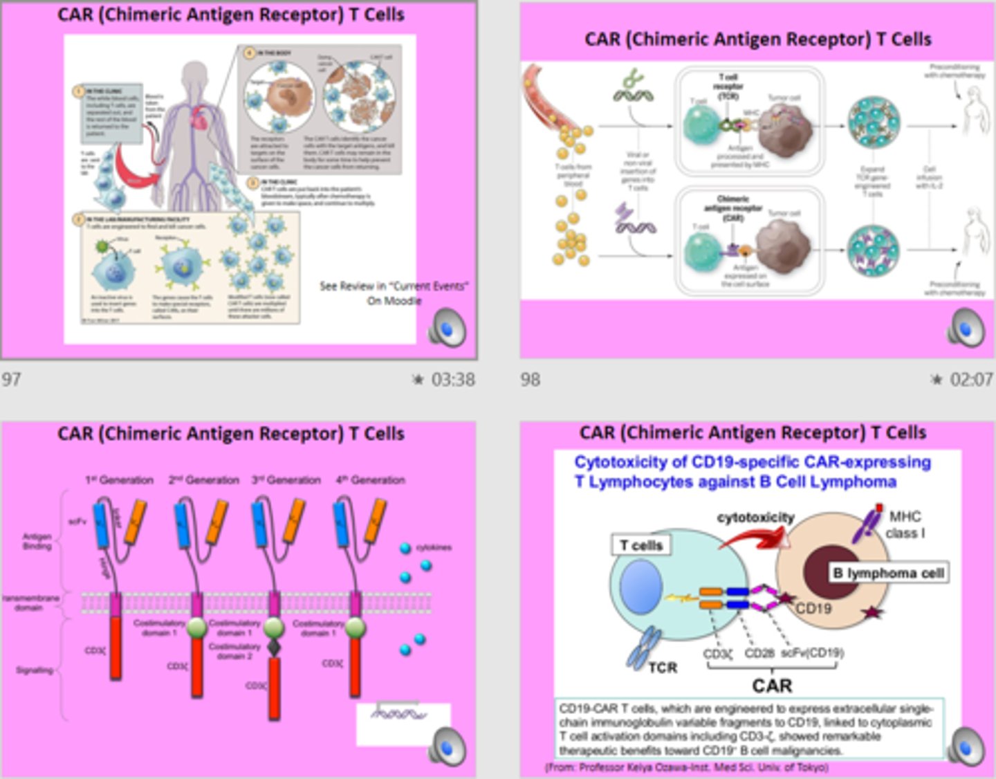 <p>CAR T-cells are modified T cells with a Chimeric Antigen Receptor that helps them target cancer. The CAR includes an antigen-binding domain, a transmembrane part, and signaling domains, plus co-stimulatory elements to boost function. They first showed promise in B-cell lymphoma.</p>
