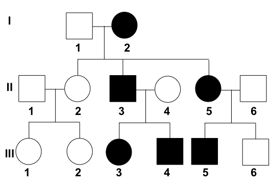 <p>what is a pedigree </p>