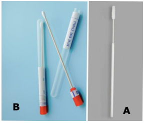 <p><em>TRUE OR FALSE</em></p><p>Only one swab is needed for NPS collection when collecting from both nostrils.</p>