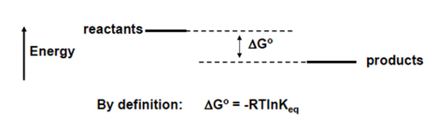 <p>Determines whether or not a reaction is spontaneous.</p><p>G &gt; 1 = endergonic (nonspontaneous)</p><p>G=0, equilibrium</p><p>G &lt; 1 = exergonic (spontaneous)</p>